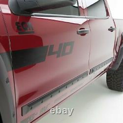991674 EGR Side Moldings Set of 4 Front & Rear New for Chevy Ram Truck Chevrolet