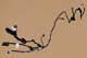 For 2020-2023 Silverado Sierra Crew Cab Front Passenger Side Door Wiring Harness